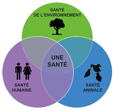 Une Seule Santé